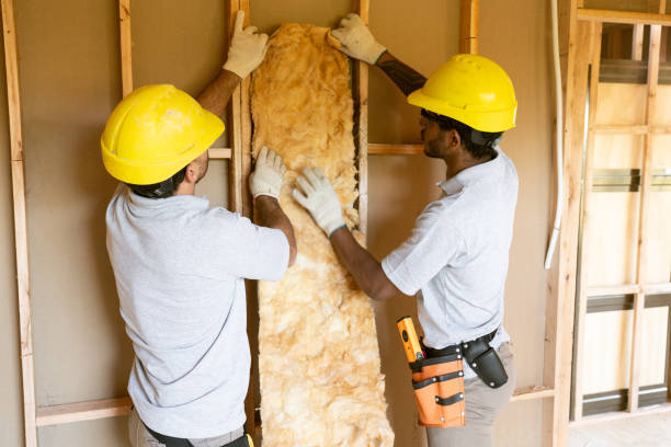 Best Wall Insulation Contractor  in Kodi, AK